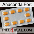 Anaconda Strong cialis3